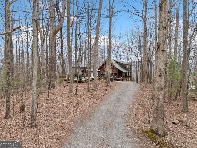 541 Little Bushy Head Road 271, Cherry Log, GA 30522