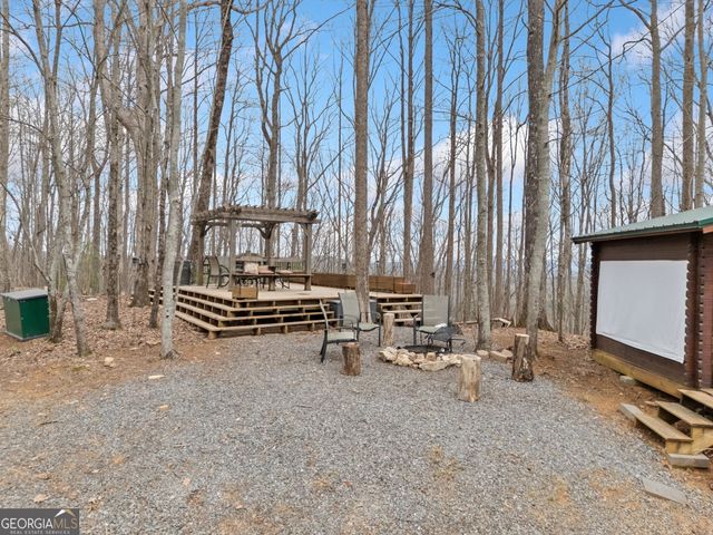 541 Little Bushy Head Road 271, Cherry Log, GA 30522