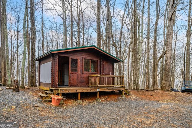 541 Little Bushy Head Road 271, Cherry Log, GA 30522