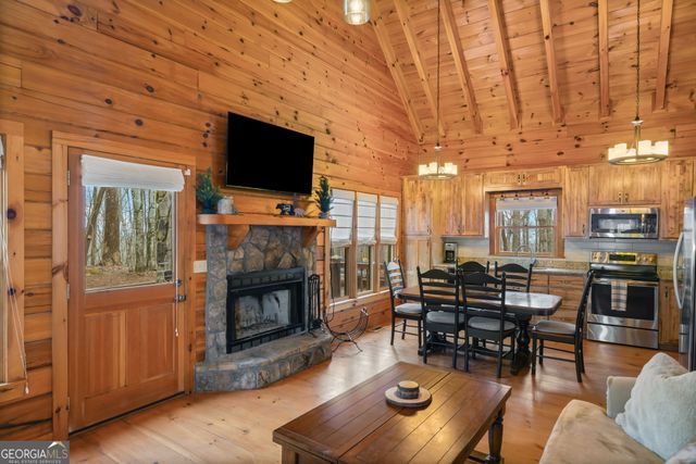 541 Little Bushy Head Road 271, Cherry Log, GA 30522