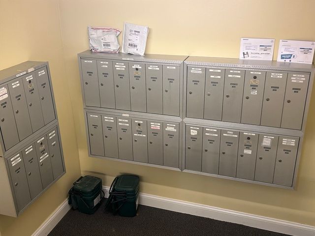 329-1 Harvard Street 1, Cambridge, MA 02139