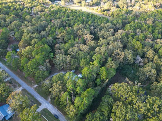 450 Dove Creek Dr, Coldspring, TX 77331