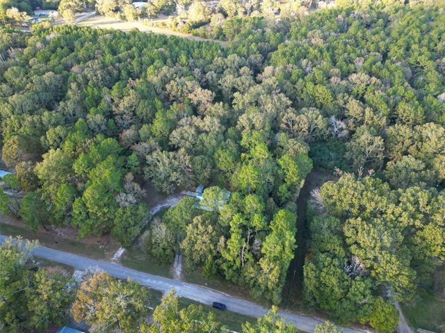 450 Dove Creek Dr, Coldspring, TX 77331