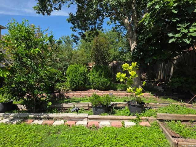 6714 Carlsbad Rio, San Antonio, TX 78233