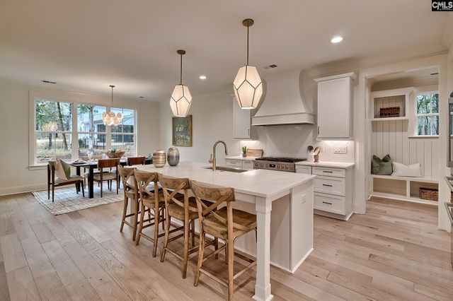 908 Salisbury Court, Chapin, SC 29036