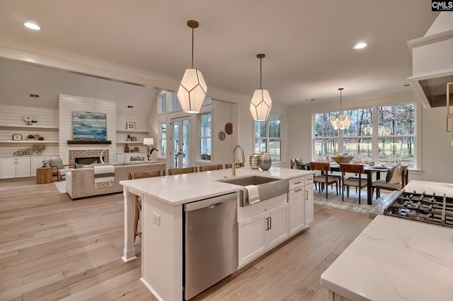 908 Salisbury Court, Chapin, SC 29036