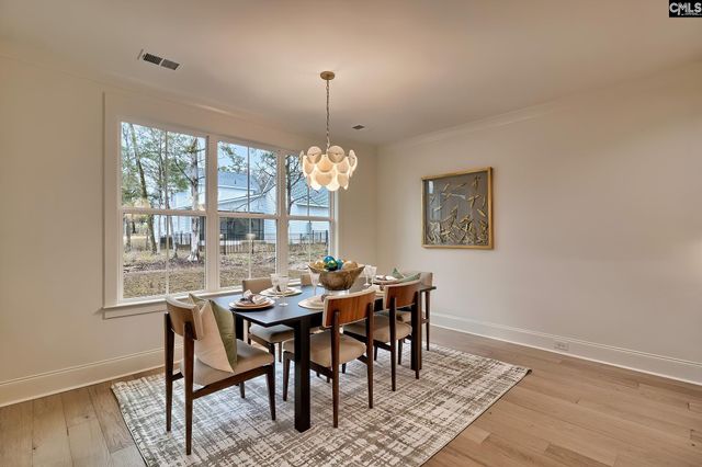 908 Salisbury Court, Chapin, SC 29036