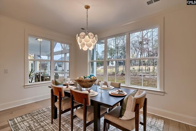 908 Salisbury Court, Chapin, SC 29036