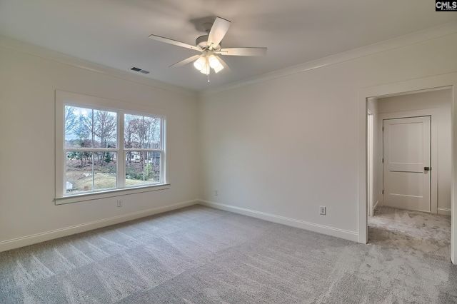 908 Salisbury Court, Chapin, SC 29036