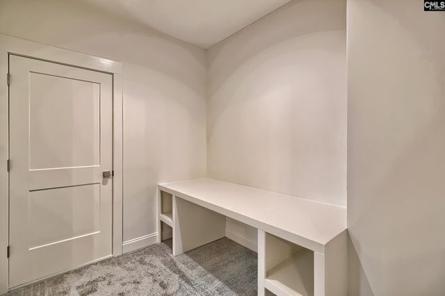 908 Salisbury Court, Chapin, SC 29036