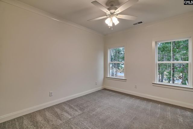 908 Salisbury Court, Chapin, SC 29036