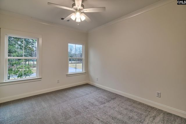 908 Salisbury Court, Chapin, SC 29036