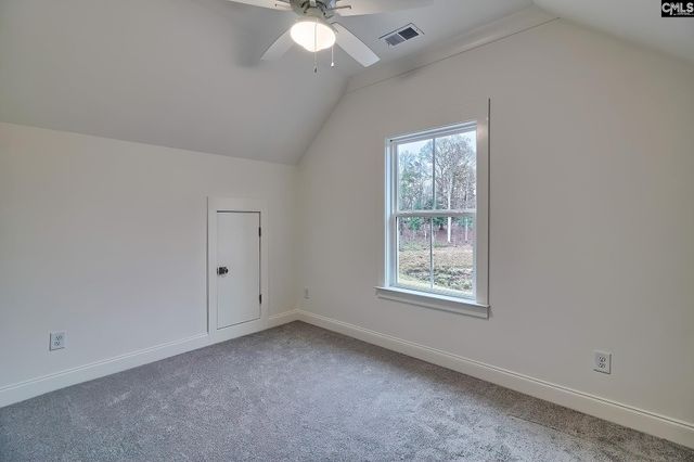 908 Salisbury Court, Chapin, SC 29036