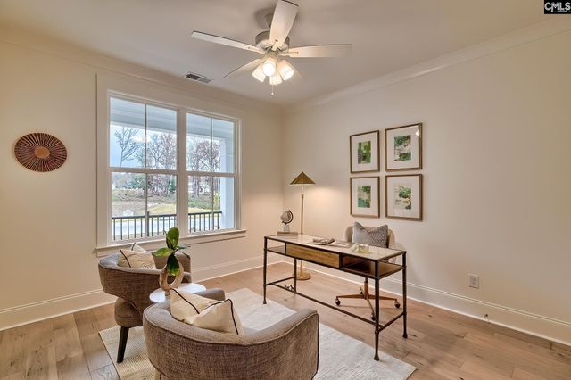 908 Salisbury Court, Chapin, SC 29036