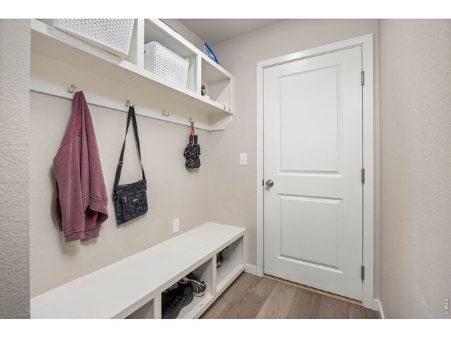 3803 Sweetgum St, Wellington, CO 80549