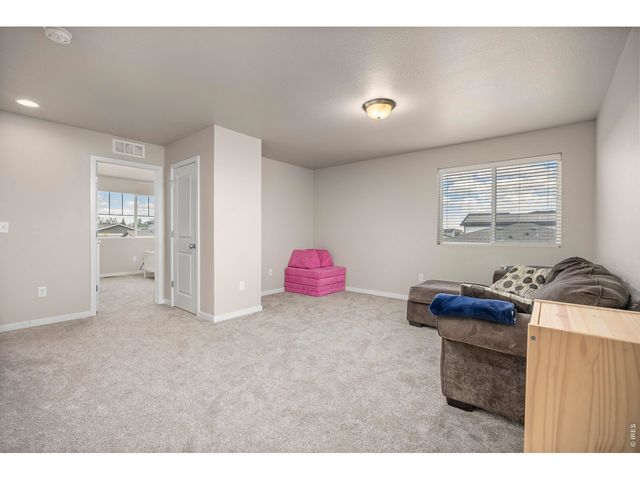 3803 Sweetgum St, Wellington, CO 80549