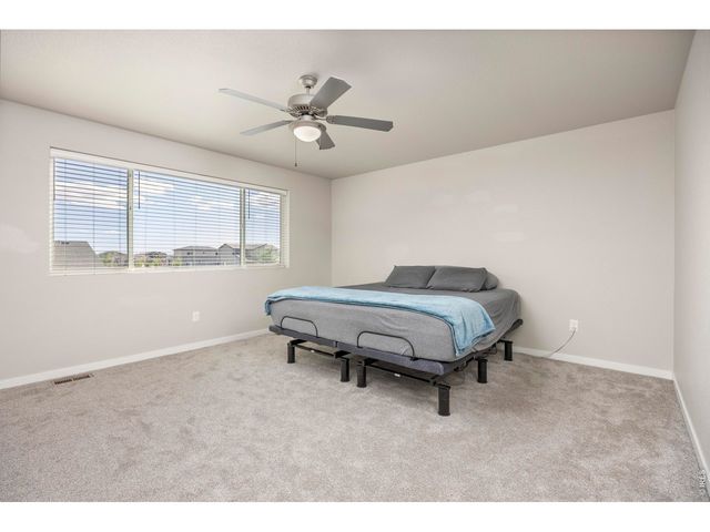 3803 Sweetgum St, Wellington, CO 80549