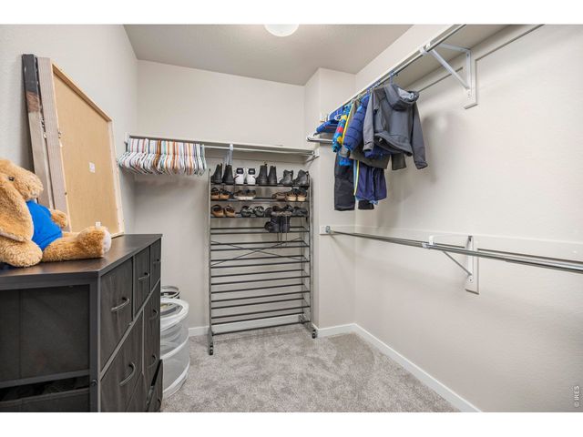 3803 Sweetgum St, Wellington, CO 80549