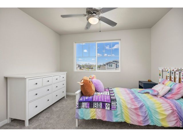 3803 Sweetgum St, Wellington, CO 80549