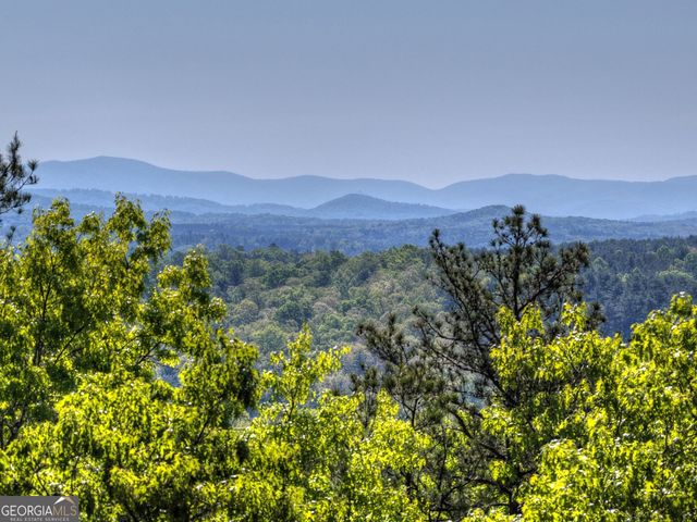 769 Voylestown Road, Morganton, GA 30560