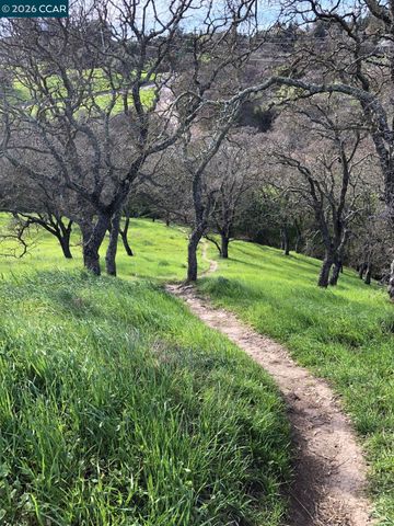 2126 Spring Lake CT, Martinez, CA 94553