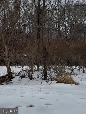 FLAG MARSH RD, Mount Airy, MD 21771