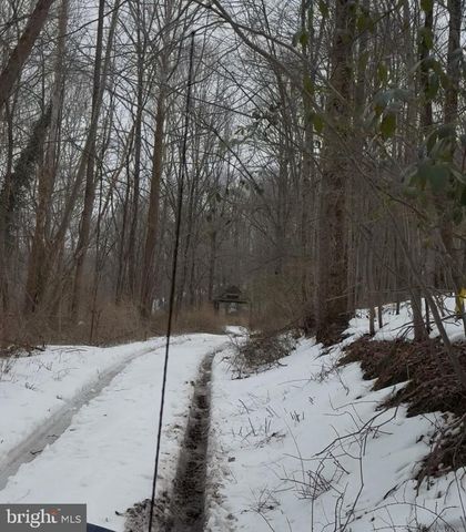 FLAG MARSH RD, Mount Airy, MD 21771