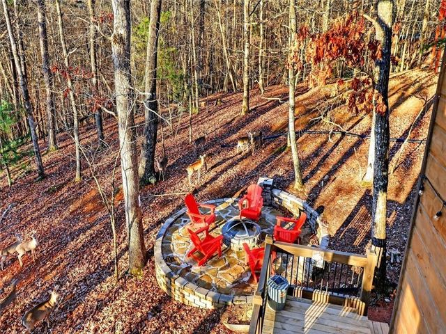 313 Muffle Court, Ellijay, GA 30540