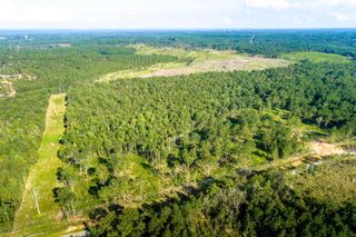 Parcel 4 Lynn Ray Rd., Petal, MS 39465