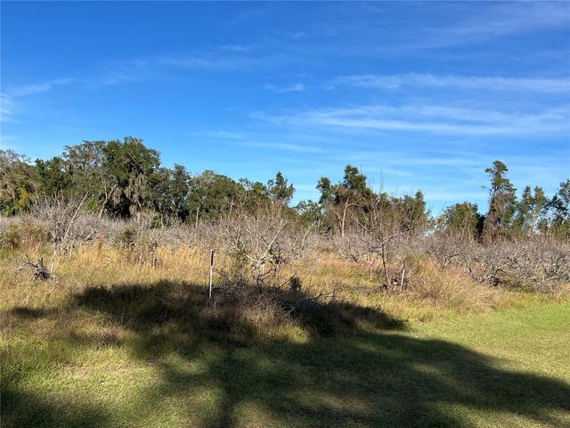 18250 RAVENSWOOD ROAD, Altoona, FL 32702