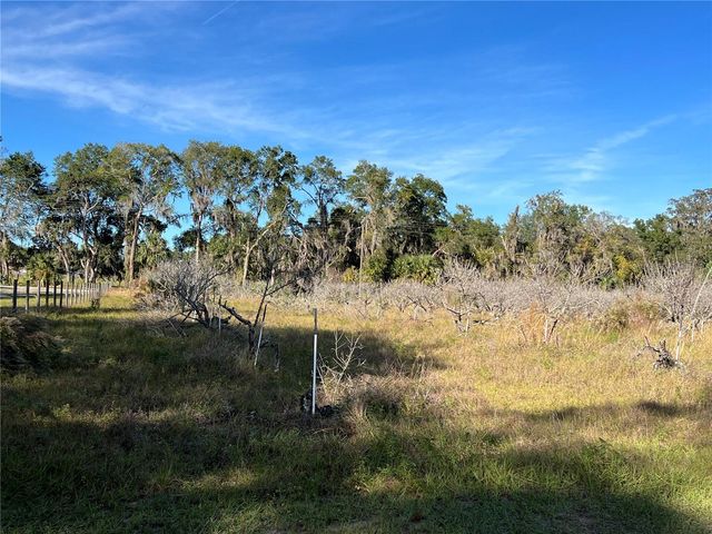 18250 RAVENSWOOD ROAD, Altoona, FL 32702