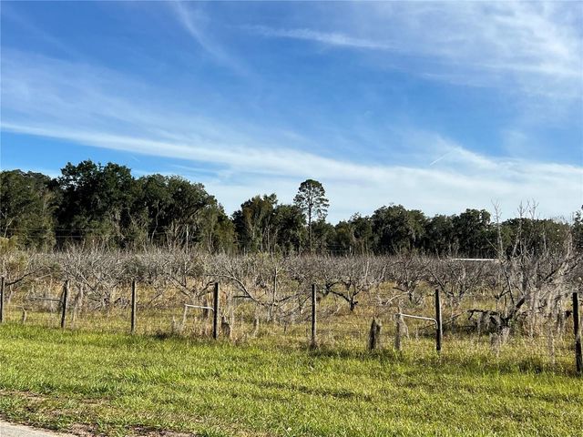 18250 RAVENSWOOD ROAD, Altoona, FL 32702