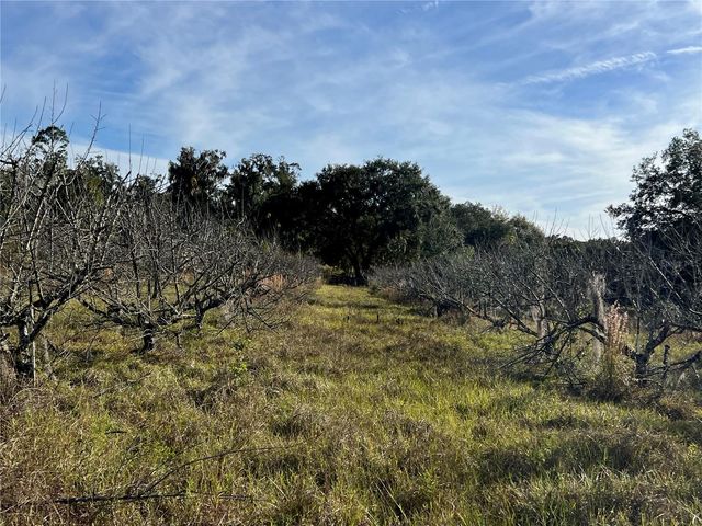 18250 RAVENSWOOD ROAD, Altoona, FL 32702