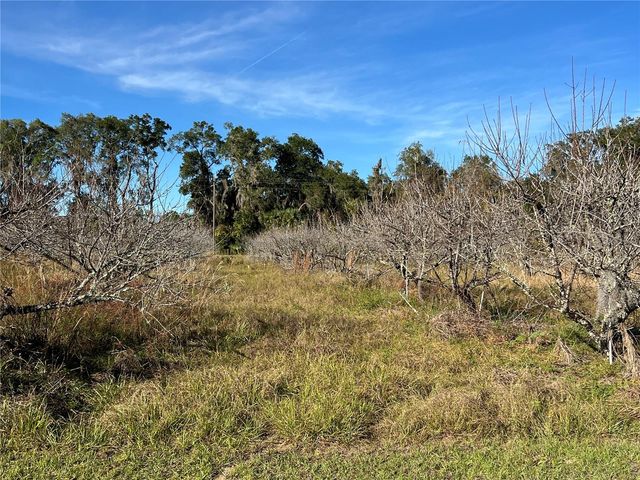 18250 RAVENSWOOD ROAD, Altoona, FL 32702