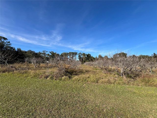 18250 RAVENSWOOD ROAD, Altoona, FL 32702