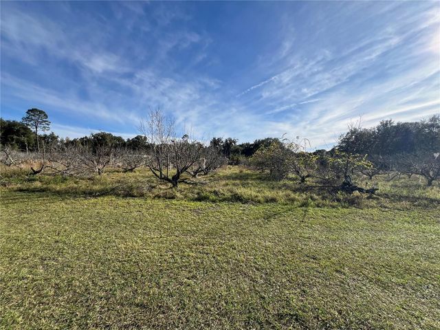 18250 RAVENSWOOD ROAD, Altoona, FL 32702