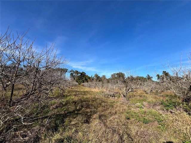 18250 RAVENSWOOD ROAD, Altoona, FL 32702