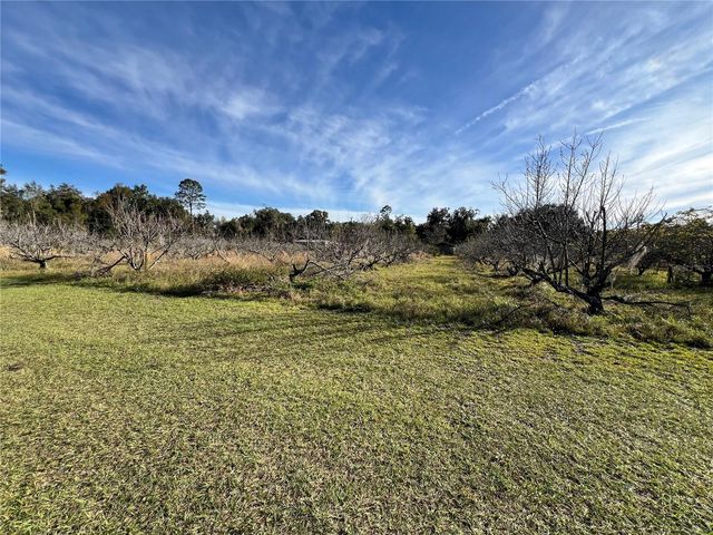 18250 RAVENSWOOD ROAD, Altoona, FL 32702