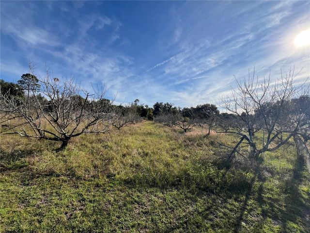 18250 RAVENSWOOD ROAD, Altoona, FL 32702