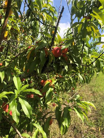 18250 RAVENSWOOD ROAD, Altoona, FL 32702