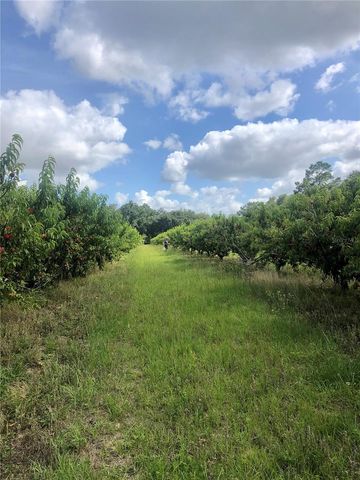 18250 RAVENSWOOD ROAD, Altoona, FL 32702