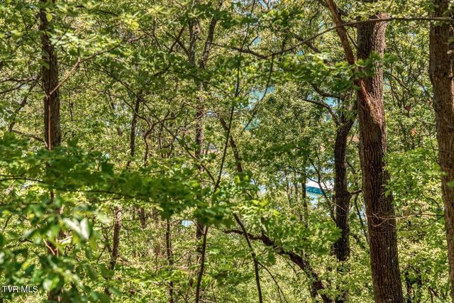 1184 Keetoowah Drive, Mooresburg, TN 37811
