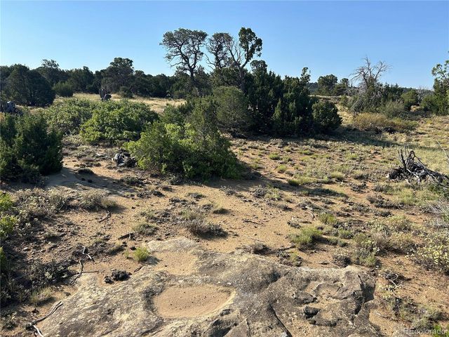 905 Rio Cucharas Phs 3, Walsenburg, CO 81089