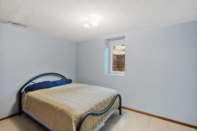 13348 Linwood Forest Circle, Champlin, MN 55316