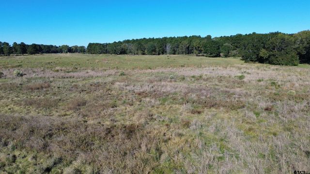 300 Buckhorn Creek Trail, Crockett, TX 75835