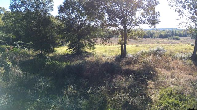 300 Buckhorn Creek Trail, Crockett, TX 75835