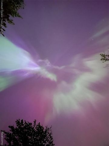 10868 Bob White Beach Boulevard, Whitmore Lake, MI 48189