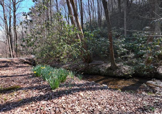 1275 Hells Hollow Road, Blue Ridge, GA 30513