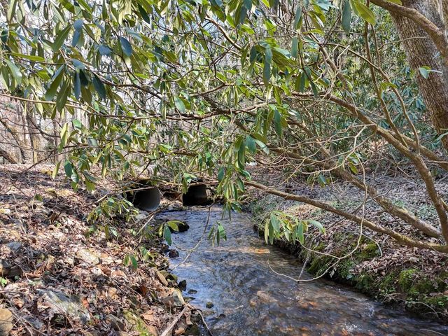 1275 Hells Hollow Road, Blue Ridge, GA 30513