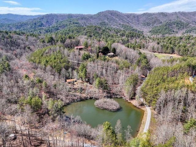 1275 Hells Hollow Road, Blue Ridge, GA 30513
